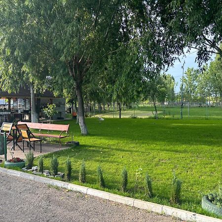 Gigios Sport&Relax Villa Bailesti Ngoại thất bức ảnh